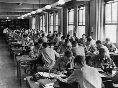Студенты V-12 Луисвилльского университета в гистологической лаборатории, ок. 1943 г. Фото взято с фотовыставки колледжа гуманитарных и естественных наук, посвященной программе военной подготовки офицеров, архив Луисвилльского университета. 