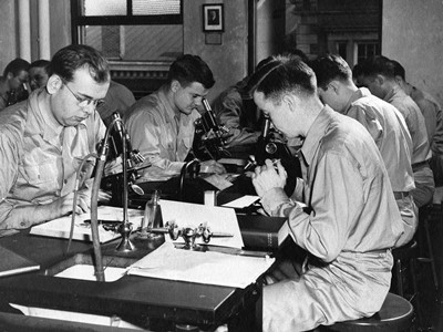Студенты V-12 Луисвилльского университета во время работы с микроскопами у лабораторных столов, ок. 1943 г. Фото взято с фотовыставки колледжа гуманитарных и естественных наук, посвященной программе военной подготовки офицеров, архив Луисвилльского университета.