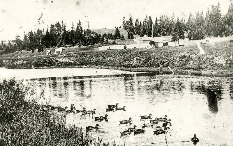 Река Данилиха в [1913] году.