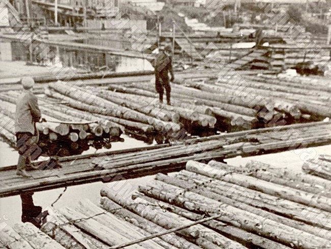 Рабочие Соликамского целлюлозно-бумажного комбината за работой на лесной бирже этого предприятия